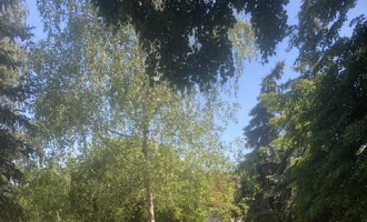 park 01.jpg